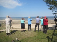 2016-05-10 15h32m55 - Aan de kust - Gerda van der Meer